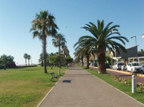 La Conchiglia Apartamento Porto SantʼElpidio Exterior foto